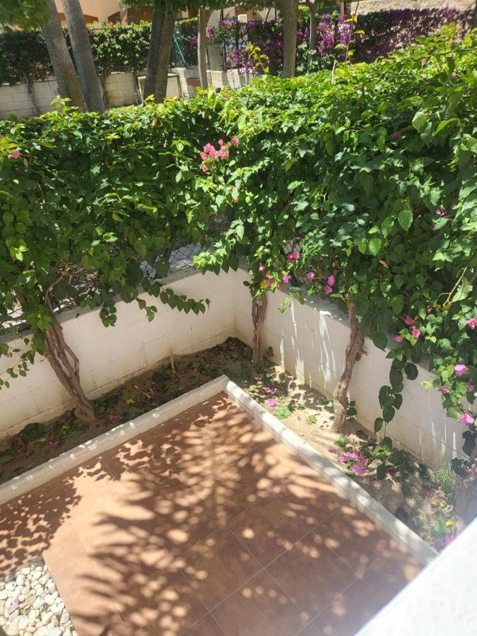 ¡Bajo Precioso Con Salida Directa A La Piscina Comunitaria En Paraiso De Vera! ภายนอก รูปภาพ